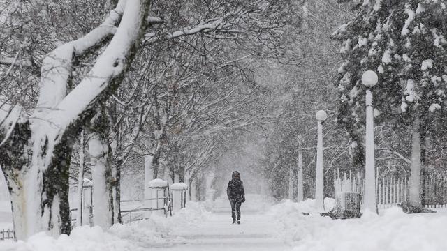 La tempête hivernale sévit également à Ottawa. [Chris Wattie]