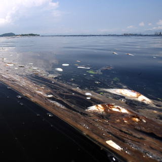 La baie de Rio, c'est aussi et souvent ce spectacle désolant... [Anderlei Almedia]