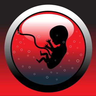 Les foetus ont désormais aussi leur place dans le monde numérique. [Oxlock]