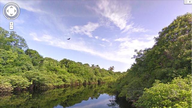 Google Maps permet désormais aux internautes d'explorer l'amazonie.