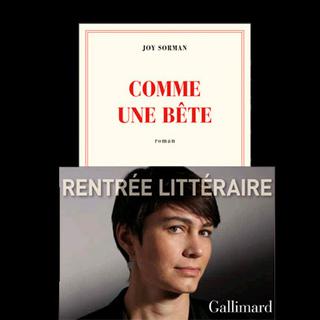 La couverture du livre "Comme une bête" de Joy Sorman [Gallimard]