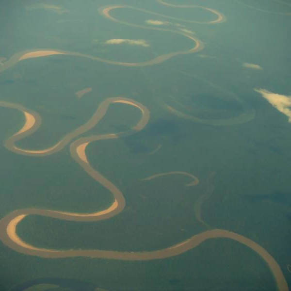 Vue aérienne de la forêt amazonienne. [wikipedia]