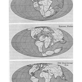 Schéma de la dérive des continents selon la théorie de Alfred Wegener paru en 1922 dans la revue "Discovery" à Londres. [Ann Ronan Picture Library / Photo12]