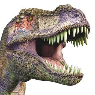 L'extinction massive des dinosaures a eu lieu à la fin du Crétacé. [DM7]