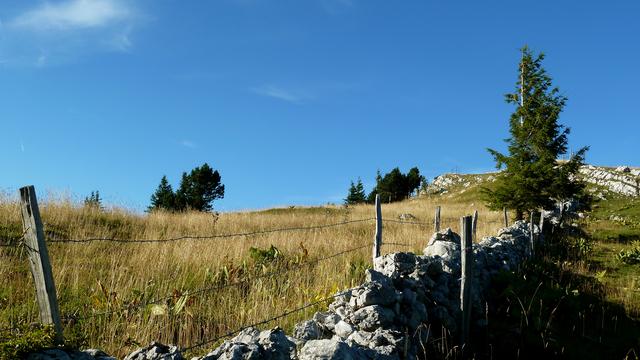 Mur de pierres sèches. [Thibaut Kahlbacher]