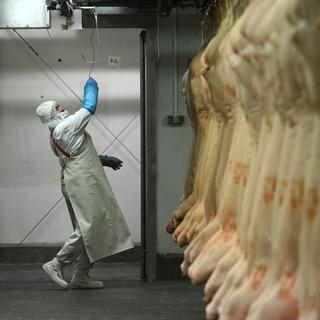 Un travailleur dans un entrepôt de viande de cheval roumain. [Daniel Mihailescu.]