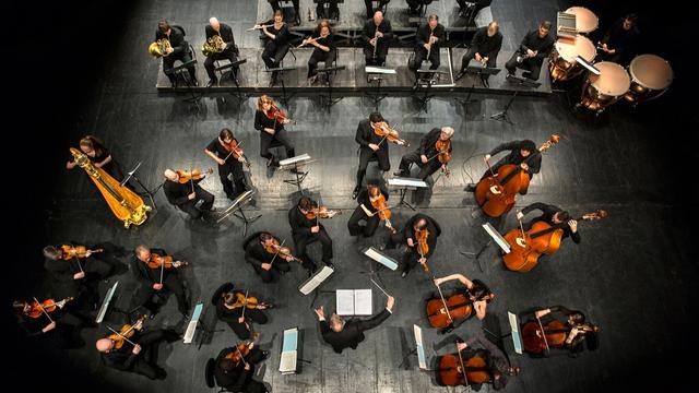 L'Orchestre de chambre de Genève. [Gregory Batardon]