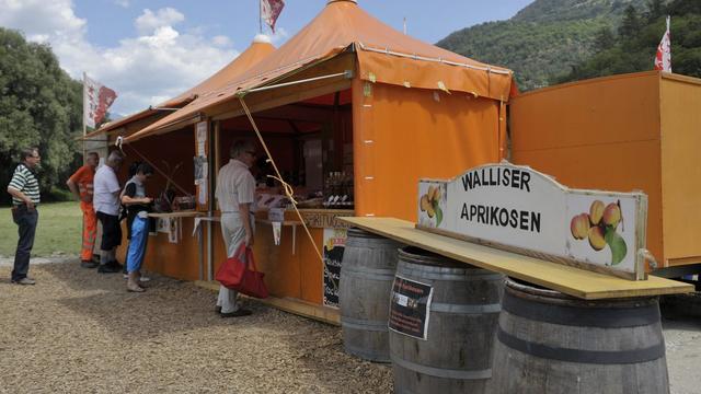 Stand de vente d'abricots à Turtmann, en Valais. [Maxime Schmid]