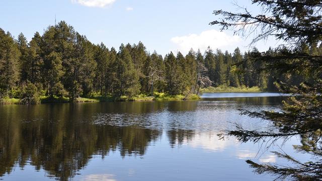 L'étang de la Gruère, près de Saignelégier (JU). [RTS - Gaël Klein]