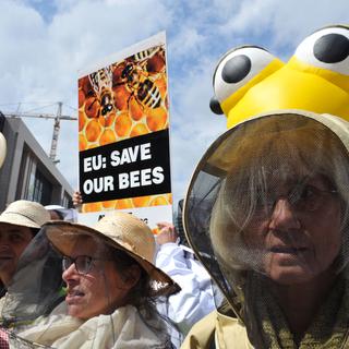 Les défenseurs des abeilles étaient réunis lundi à Bruxelles dans l'attente de la décision de la Commission européenne. [Georges Gobet]
