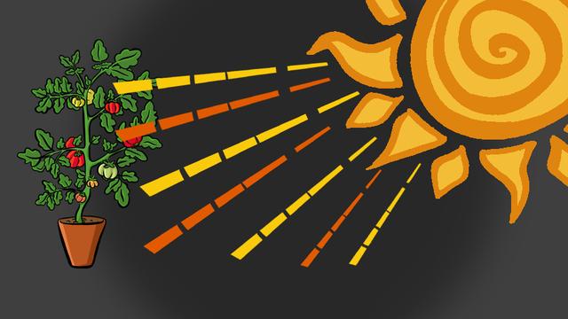 Comment utilise-t-on l'énergie issue du soleil?