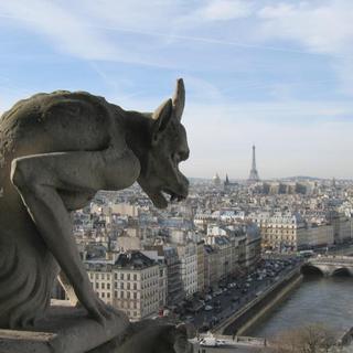 Une gargouille sise au sommet de la cathédrale Notre-Dame de Paris. [France Télévisions]