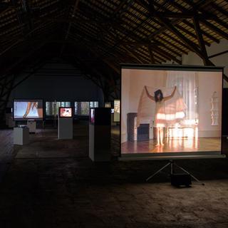 Vue de l'installation-vidéo d'Emmanuelle Antille à la Ferme-Asile de Sion. [emmanuelleantille.com - Robert Hofer]