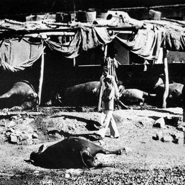 La catastrophe de Bhopal en 1984. [Keystone - AP Photo/Thiang]