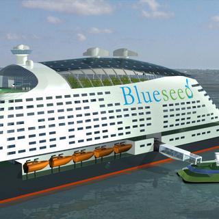 L'idée du projet Blueseed est d'installer un "incubateur" de start-up à bord d'un navire dans les eaux internationales. [blueseed.co/]