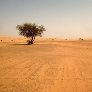 Le désert du Sahara. [AFP - Hocine Zaourar]