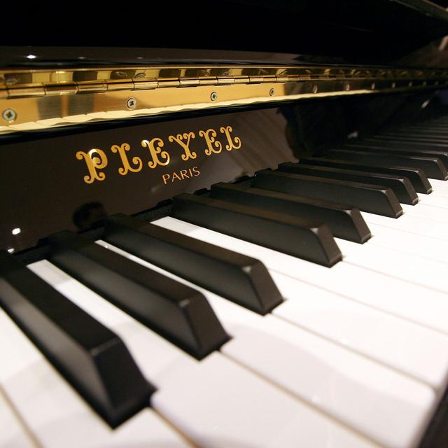 Les pianos Pleyel furent utilisés par Chopin, Debussy et Franz Liszt. [Pascal Guyot]