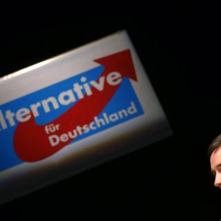 Alternative für Deutschland (ici, Bernd Lucke) milite contre l'euro.