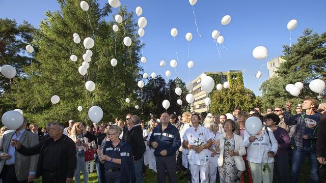 Hommage à Adeline à Puplinge [Salvatore Di Nolfi]