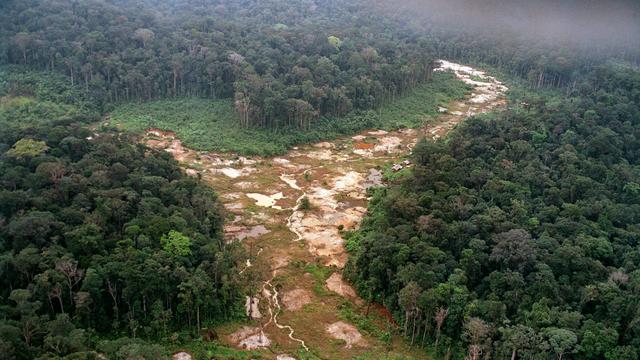 Une portion de la forêt amazonienne, au Brésil. [Antonio Scorza]