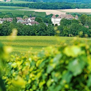 Le village de Dardagny, au coeur de son écrin vert, à découvrir par exemple par le sentier viticole. [RTS - L'Illustré]