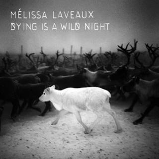 Pochette de l'album "Dying is a wild night" de Mélissa Laveaux. [No Format]