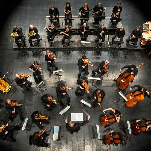L'Orchestre de chambre de Genève. [Gregory Batardon]