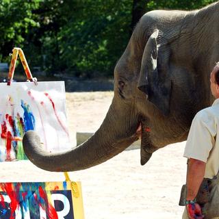 L'éléphant "Salvana" en pleine création artistique? [DPA/AFP - Carsten Rehder]