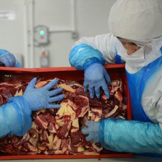 Le scandale de la  viande de cheval a gagné les Pays-Bas vendredi alors que l'UE a décidé de procéder à plus de 2000 tests. [DANIEL MIHAILESCU]