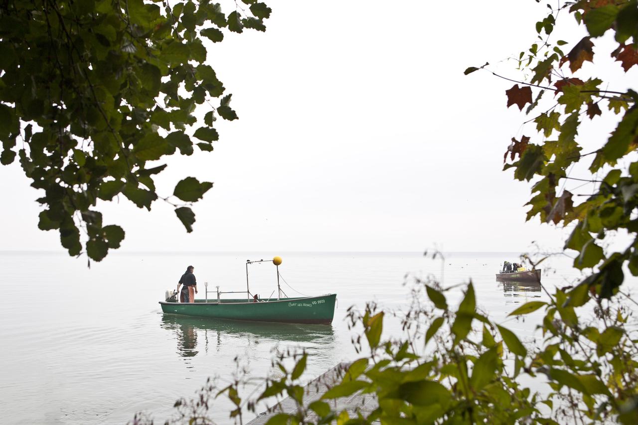 Les eaux poissonneuses du Léman. [RTS/Anne Kearney - RTS/Anne Kearney]