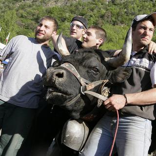 Gaëtan Meunier, à gauche, et sa vache Rebelle, gagnante de la finale cantonale de combat de reine, le 14 mai 2006. [Olivier Maire]