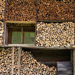 L'industrie du bois vaudoise est fâchée avec l'armée. [Arno Balzarini]