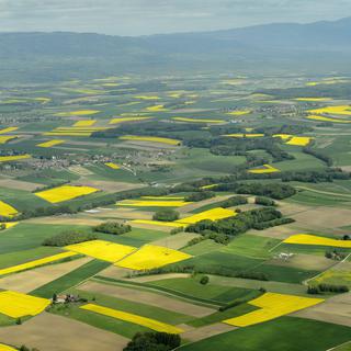 L'Union suisse des paysans (USP) et l'UDC veulent renforcer l'approvisionnement alimentaire indigène. [Laurent Gilliéron]