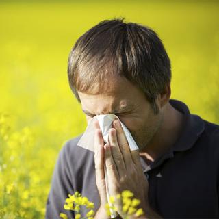 Au fil du temps, de plus en plus de personnes souffrent d'allergies.
Lichtmeister
Fotolia [Lichtmeister]