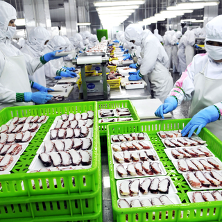 L'industrie chinoise de la pêche exporte beaucoup vers le Japon, notamment. [Imaginechina/AFP - Chen Weifeng]