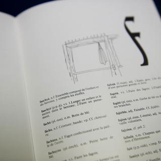 Dictionnaire de patois valaisan. [Jean-Christophe Bott]