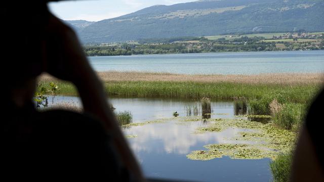 Côté vaudois, la décision vise les 67 chalets sur les communes de Vully-les-Lacs et de Cudrefin. [Laurent Gillieron]