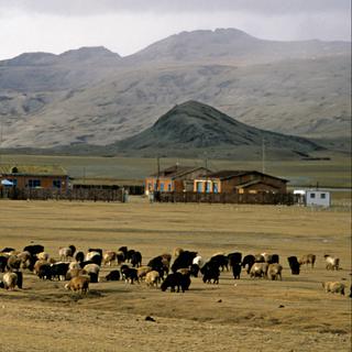 Montagnes de l'Altaï, en Mongolie. [Photononstop]