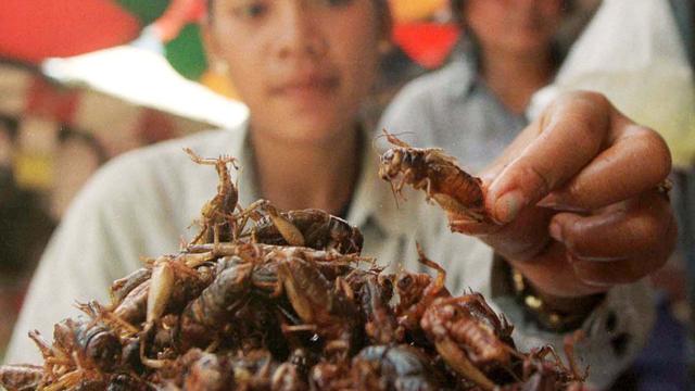 La consommation d'insectes est courante dans certains pays comme le Cambodge. [Chor Sokunthea]