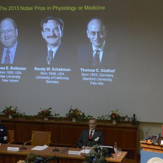 James Rothman, Randy Schekman et Thomas Suedhof récompensés par le prix Nobel de médecine. [AP Photo/ TT News Agency Janerik Henriksson]