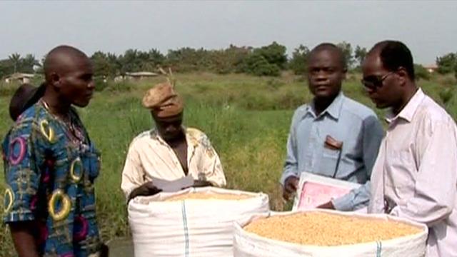 La spéculation fait grimper les prix alimentaires.