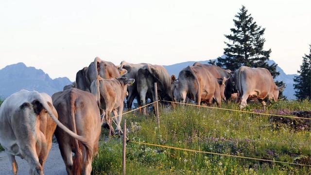 Une initiative de l'UDC pour soutenir l'agriculture. [Regina Kuehne]