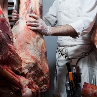 L'affaire Findus a rappelé l'impressionnante filière internationale de la viande, du producteur au consommateur. [Image Source/AFP - Alexander Porter C]