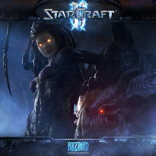 Starcraft 2: Heart Of The Swarm. [Blizzard Entertainment]