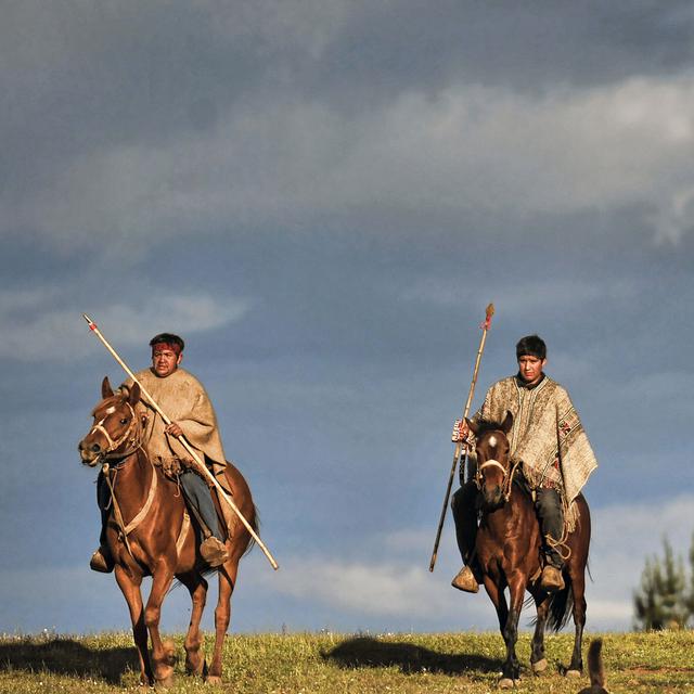 Les Mapuches, plus grande ethnie indigène du Chili, demande la restitution de leurs terres dans la région de La Araucania. [Martin Bernetti]