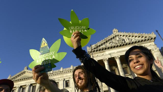 L'Uruguay va devenir le premier Etat au monde à contrôler la production et la consommation de marijuana. [AP/Keystone - Matilde Campodonico]