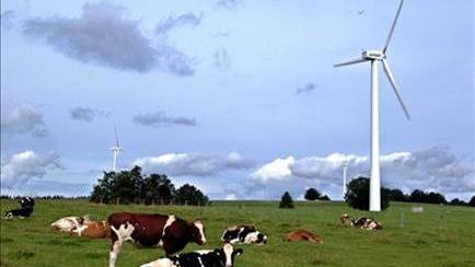 Les éoliennes du Mont Crosin.