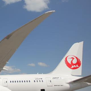 Japan Airlines a décidé de suivre la décision d'All Nippon Airlines. [Valeriy Melnikov]