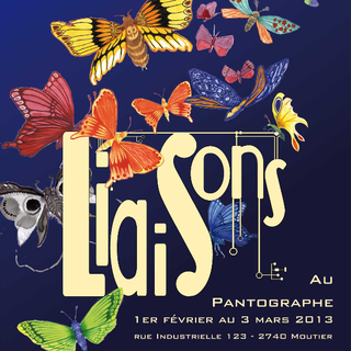 L'affiche de "Liaisons" 2013, une rencontre entre les musiques classiques et contemporaines. [pantographe.ch]