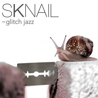 L'album "glitch jazz" de Sknail. [sknail.com]